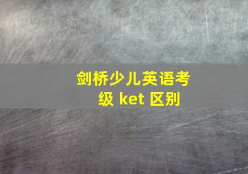 剑桥少儿英语考级 ket 区别